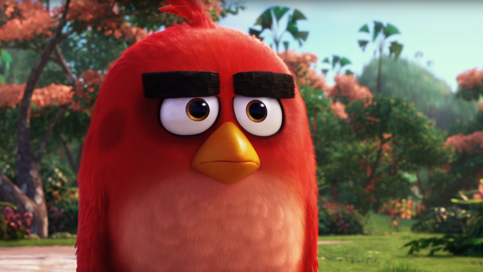 The Angry Birds Movie