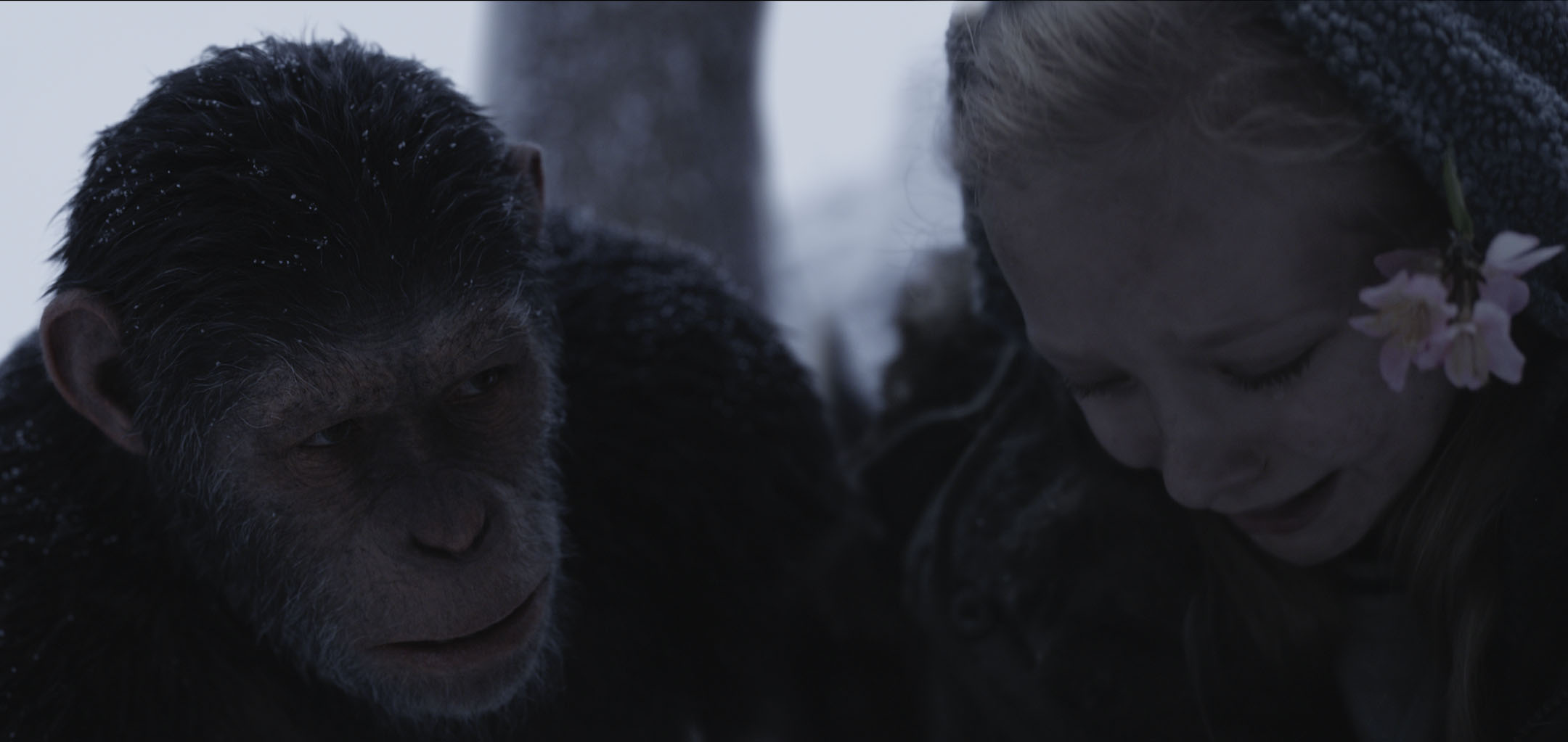 War for the Planet of the Apes