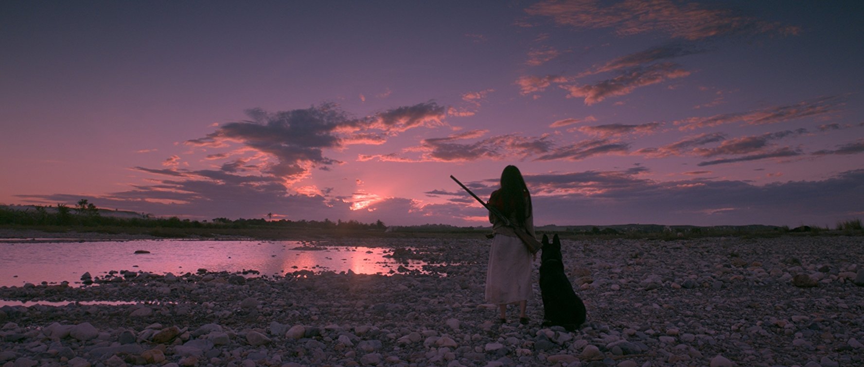 Birdshot: An Allegory of Paradise Lost