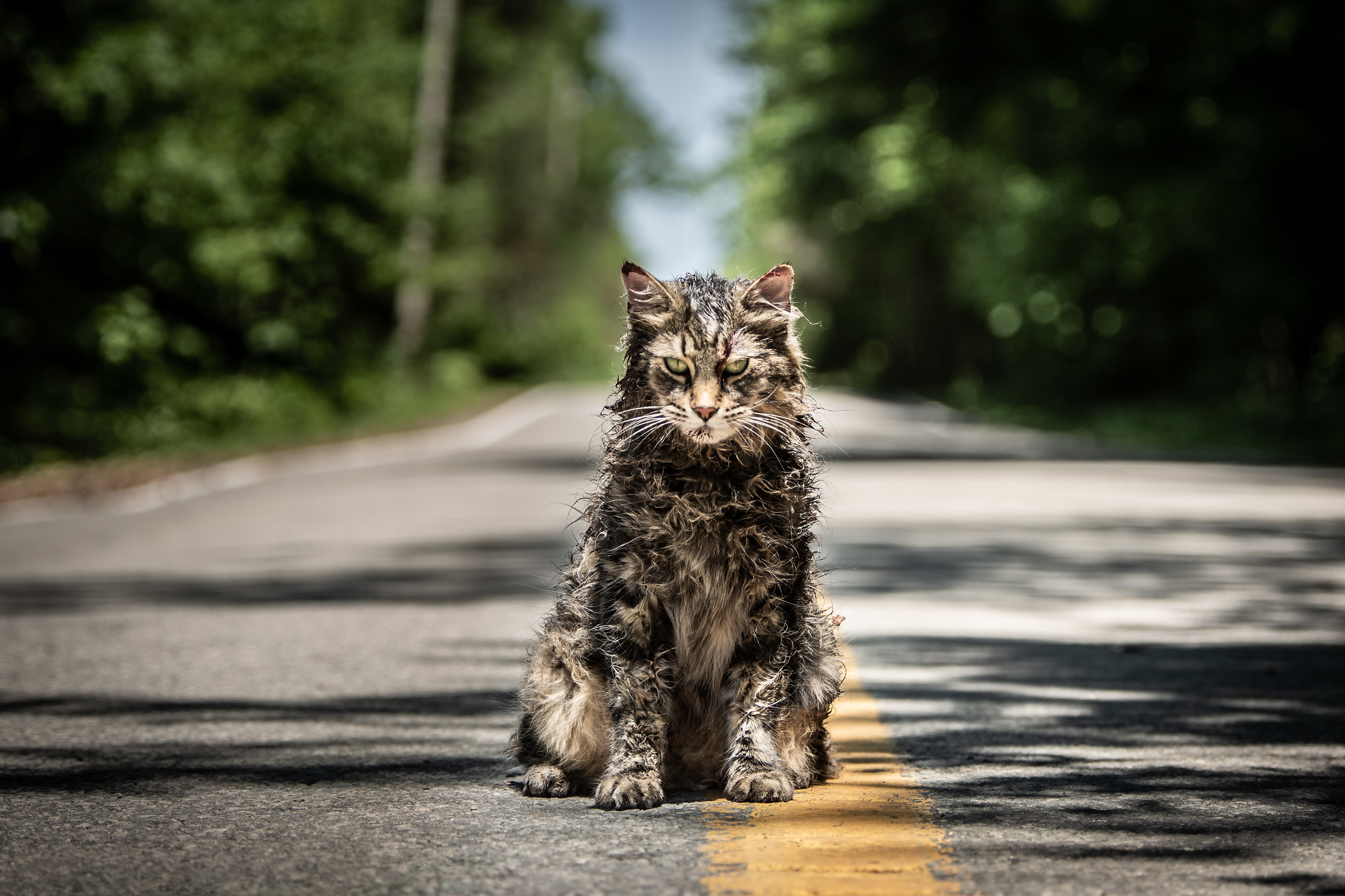 Pet Sematary: A welcome resurrection