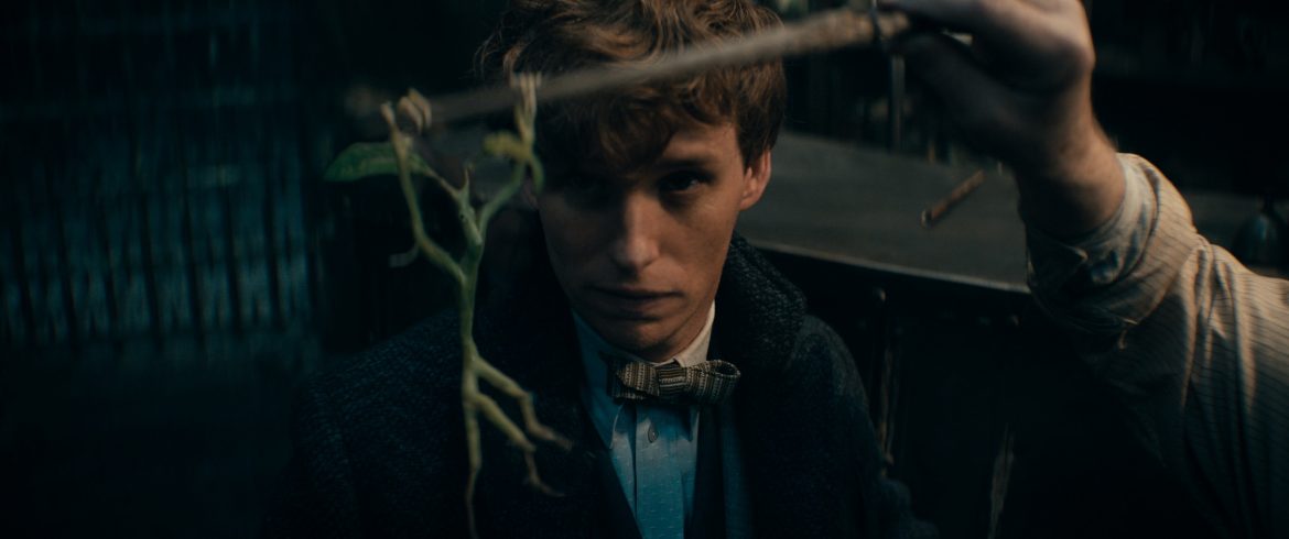 Advance selling of tickets for Fantastic Beasts: The Secrets of Dumbledore begin two weeks before its premiere